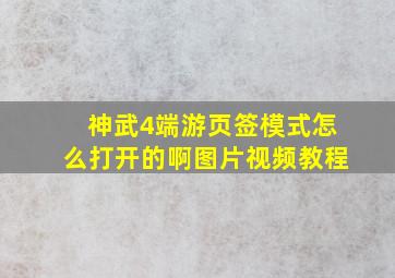 神武4端游页签模式怎么打开的啊图片视频教程