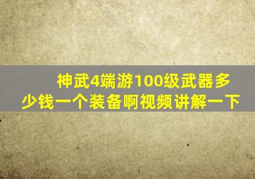 神武4端游100级武器多少钱一个装备啊视频讲解一下