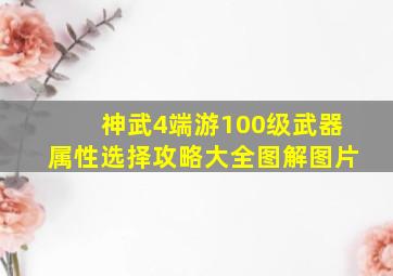 神武4端游100级武器属性选择攻略大全图解图片