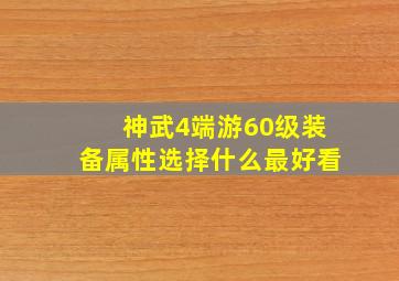 神武4端游60级装备属性选择什么最好看