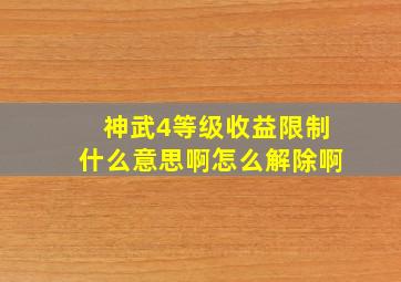 神武4等级收益限制什么意思啊怎么解除啊