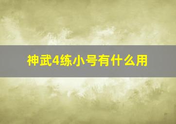 神武4练小号有什么用