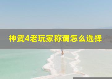 神武4老玩家称谓怎么选择