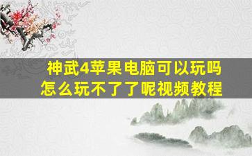 神武4苹果电脑可以玩吗怎么玩不了了呢视频教程