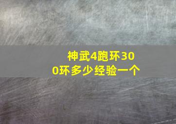 神武4跑环300环多少经验一个