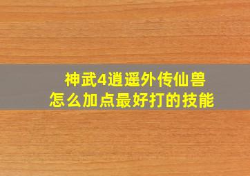 神武4逍遥外传仙兽怎么加点最好打的技能