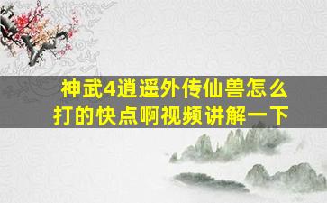 神武4逍遥外传仙兽怎么打的快点啊视频讲解一下