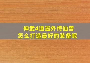 神武4逍遥外传仙兽怎么打造最好的装备呢