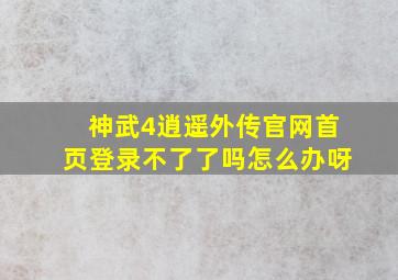 神武4逍遥外传官网首页登录不了了吗怎么办呀