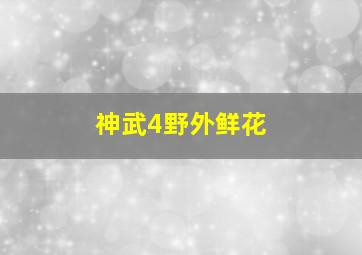 神武4野外鲜花