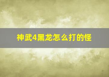 神武4黑龙怎么打的怪