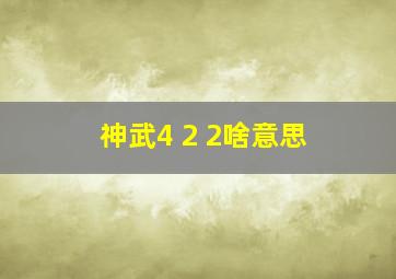 神武4+2+2啥意思