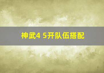 神武4 5开队伍搭配