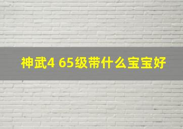 神武4 65级带什么宝宝好