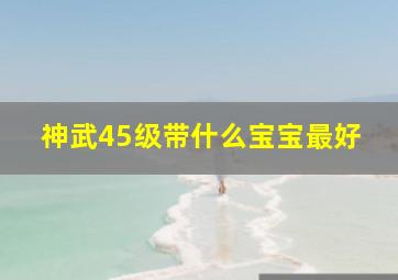 神武45级带什么宝宝最好