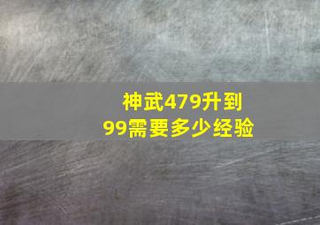 神武479升到99需要多少经验