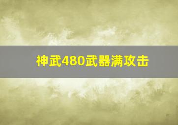 神武480武器满攻击