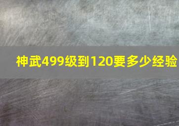 神武499级到120要多少经验