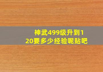 神武499级升到120要多少经验呢贴吧