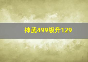 神武499级升129