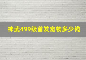 神武499级首发宠物多少钱