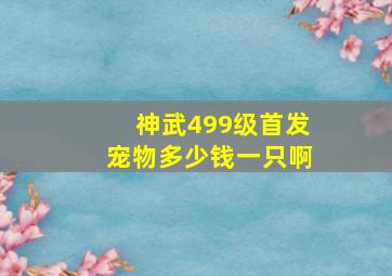 神武499级首发宠物多少钱一只啊