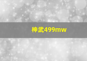 神武499mw