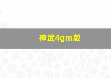 神武4gm版