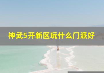 神武5开新区玩什么门派好