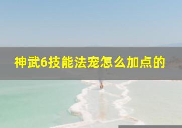 神武6技能法宠怎么加点的