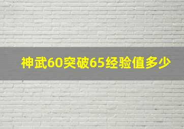 神武60突破65经验值多少