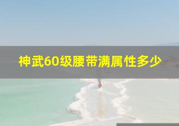 神武60级腰带满属性多少