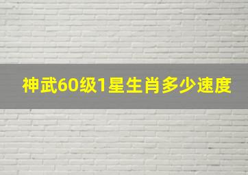 神武60级1星生肖多少速度