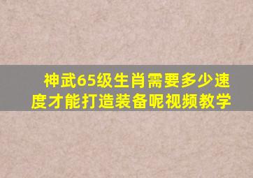 神武65级生肖需要多少速度才能打造装备呢视频教学