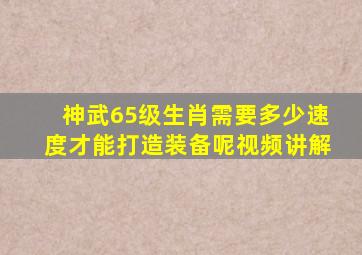 神武65级生肖需要多少速度才能打造装备呢视频讲解