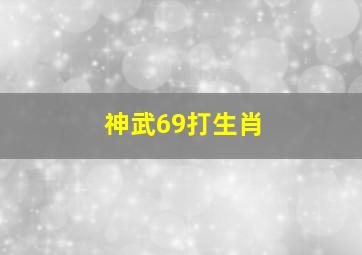 神武69打生肖