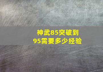 神武85突破到95需要多少经验