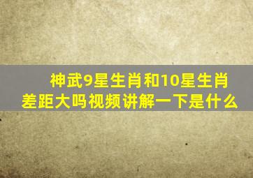 神武9星生肖和10星生肖差距大吗视频讲解一下是什么