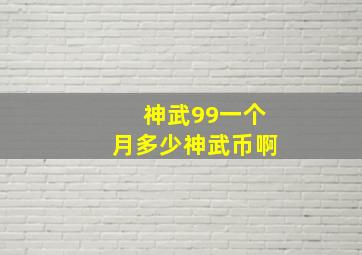 神武99一个月多少神武币啊