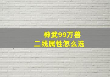 神武99万兽二线属性怎么选