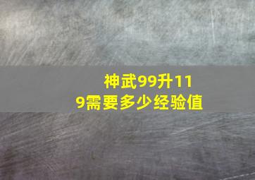 神武99升119需要多少经验值