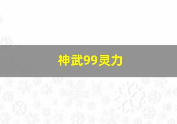 神武99灵力