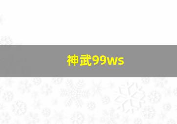 神武99ws