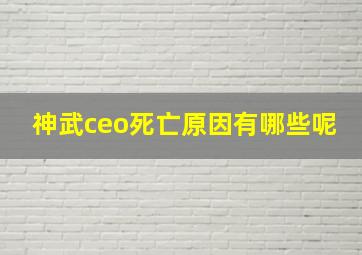 神武ceo死亡原因有哪些呢