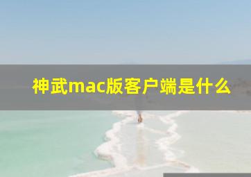 神武mac版客户端是什么