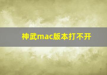 神武mac版本打不开