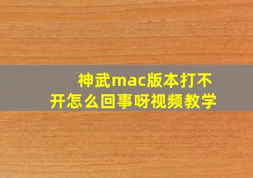 神武mac版本打不开怎么回事呀视频教学