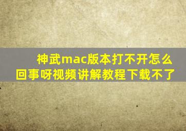 神武mac版本打不开怎么回事呀视频讲解教程下载不了