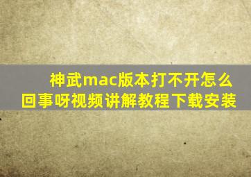 神武mac版本打不开怎么回事呀视频讲解教程下载安装