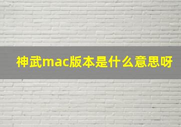 神武mac版本是什么意思呀